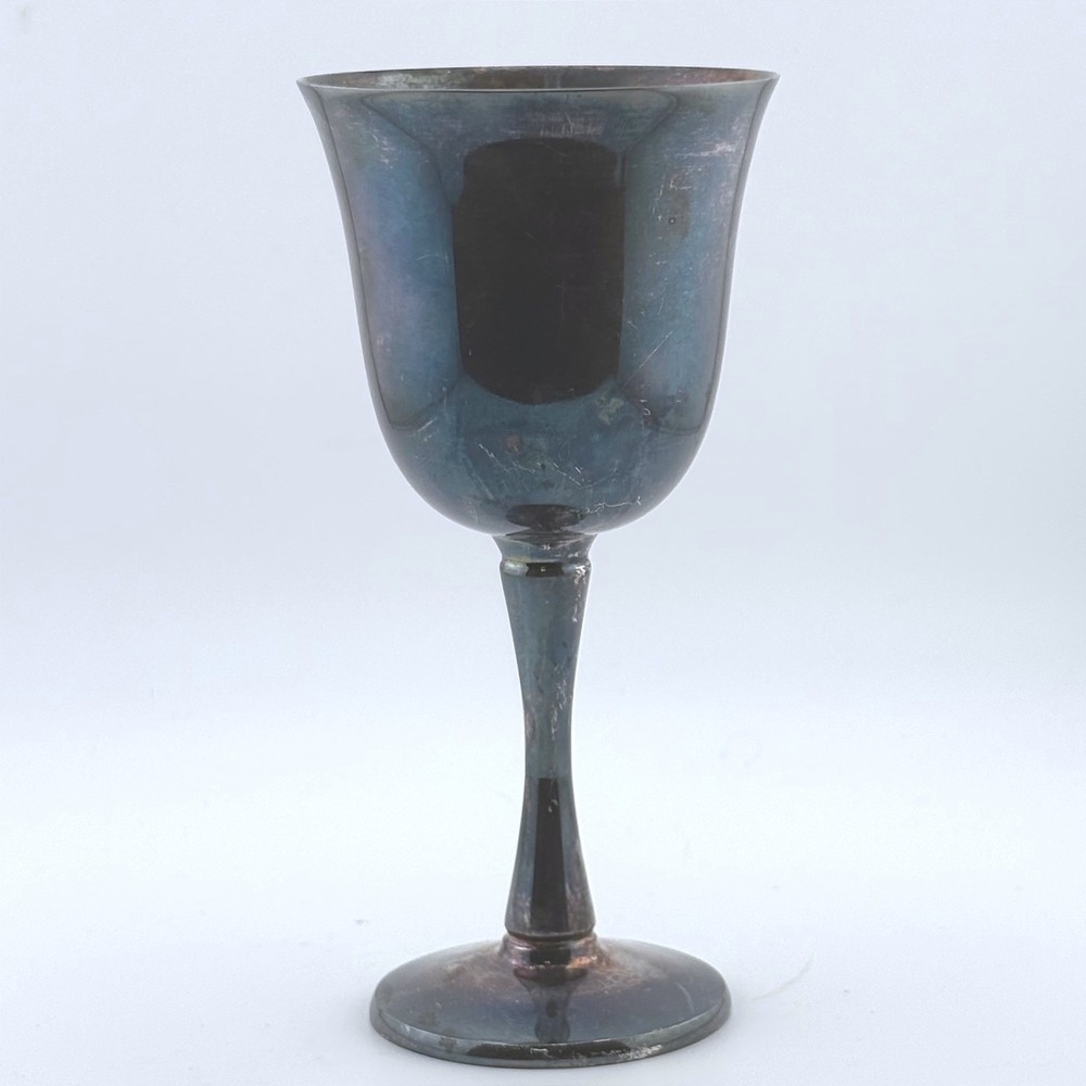 Salem Portugal Silver Plate Goblet Vintage Chalice Dark Iridescent Patina Goth